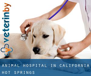 Animal Hospital in California Hot Springs