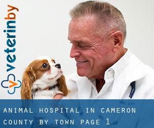 Animal Hospital in Cameron County by town - page 1