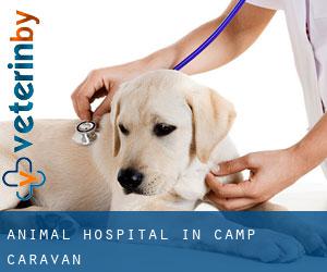 Animal Hospital in Camp Caravan