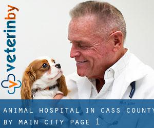 Animal Hospital in Cass County by main city - page 1