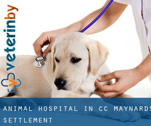 Animal Hospital in CC Maynards Settlement