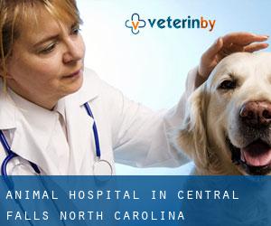 Animal Hospital in Central Falls (North Carolina)