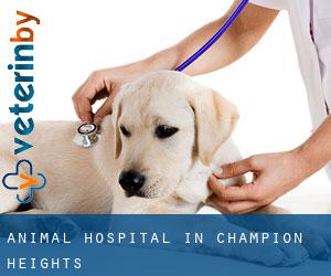 Animal Hospital in Champion Heights