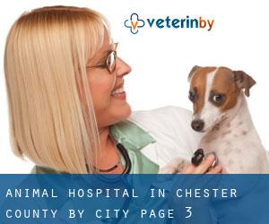 Animal Hospital in Chester County by city - page 3
