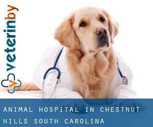 Animal Hospital in Chestnut Hills (South Carolina)