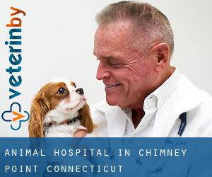 Animal Hospital in Chimney Point (Connecticut)