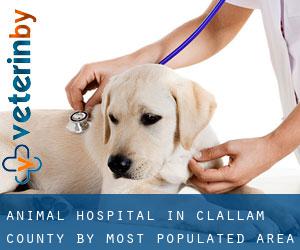 Animal Hospital in Clallam County by most populated area - page 1