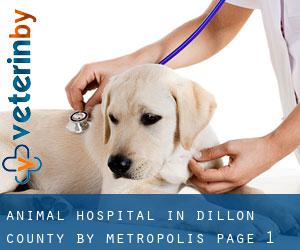 Animal Hospital in Dillon County by metropolis - page 1