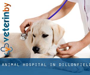 Animal Hospital in Dillonfield