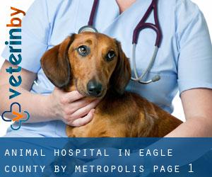 Animal Hospital in Eagle County by metropolis - page 1
