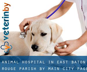Animal Hospital in East Baton Rouge Parish by main city - page 4