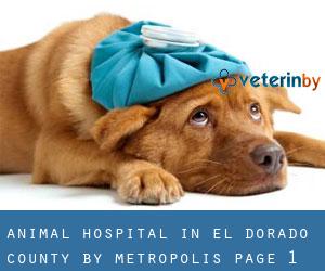Animal Hospital in El Dorado County by metropolis - page 1
