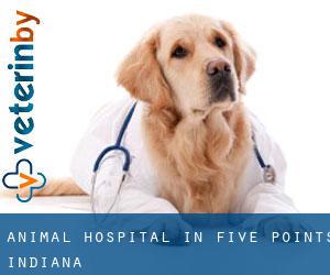 Animal Hospital in Five Points (Indiana)