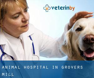 Animal Hospital in Grovers Mill