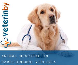 Animal Hospital in Harrisonburg (Virginia)