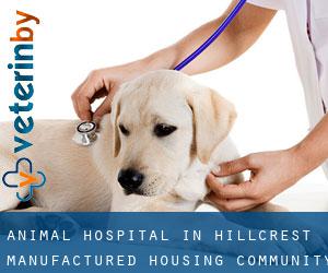 Animal Hospital in Hillcrest Manufactured Housing Community
