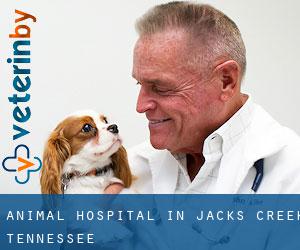 Animal Hospital in Jacks Creek (Tennessee)