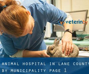 Animal Hospital in Lane County by municipality - page 1