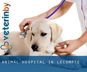 Animal Hospital in Lecompte