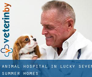 Animal Hospital in Lucky Seven Summer Homes