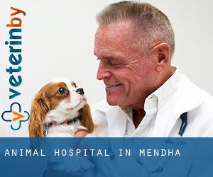 Animal Hospital in Mendha