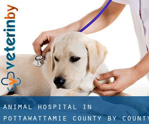 Animal Hospital in Pottawattamie County by county seat - page 1
