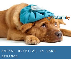 Animal Hospital in Sand Springs