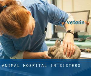 Animal Hospital in Sisters