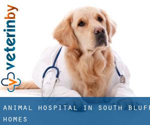 Animal Hospital in South Bluff Homes