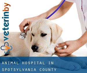 Animal Hospital in Spotsylvania County