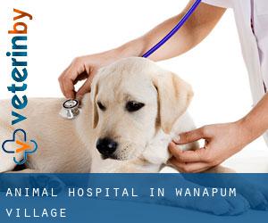 Animal Hospital in Wanapum Village