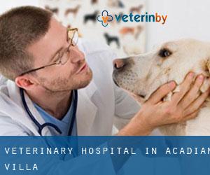 Veterinary Hospital in Acadian Villa