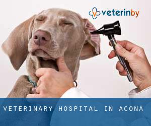 Veterinary Hospital in Acona