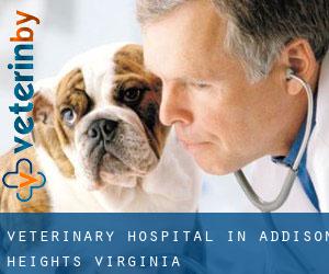 Veterinary Hospital in Addison Heights (Virginia)