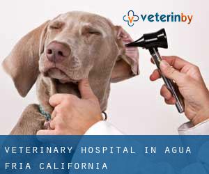 Veterinary Hospital in Agua Fria (California)