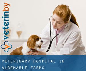Veterinary Hospital in Albemarle Farms