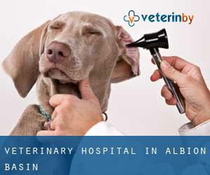 Veterinary Hospital in Albion Basin