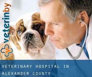 Veterinary Hospital in Alexander County