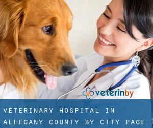 Veterinary Hospital in Allegany County by city - page 1