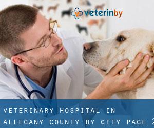 Veterinary Hospital in Allegany County by city - page 2