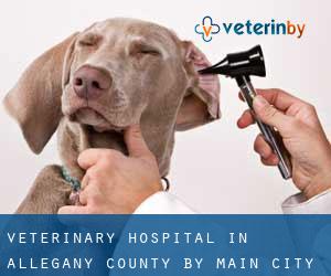 Veterinary Hospital in Allegany County by main city - page 1