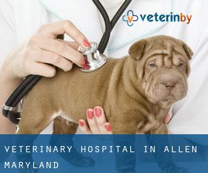 Veterinary Hospital in Allen (Maryland)