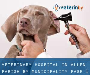 Veterinary Hospital in Allen Parish by municipality - page 1
