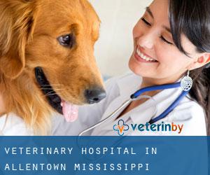 Veterinary Hospital in Allentown (Mississippi)