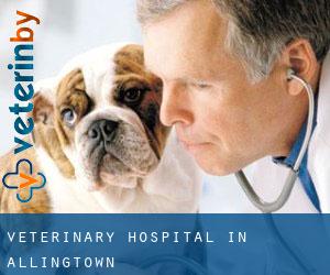 Veterinary Hospital in Allingtown