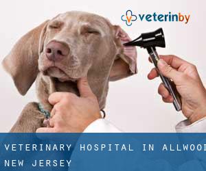 Veterinary Hospital in Allwood (New Jersey)