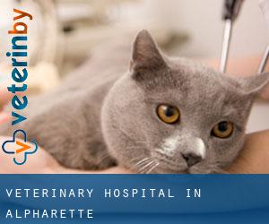 Veterinary Hospital in Alpharette