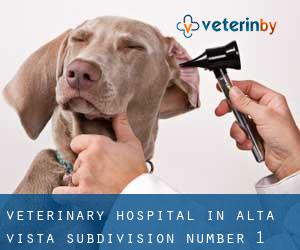 Veterinary Hospital in Alta Vista Subdivision Number 1 (Utah)