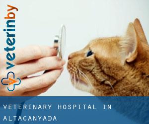 Veterinary Hospital in Altacanyada