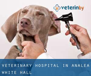 Veterinary Hospital in Analea White Hall